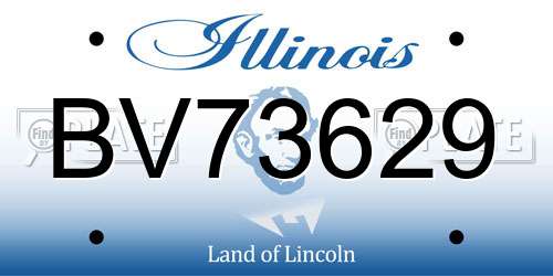 BV73629 Illinois License Plate