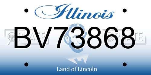 BV73868 Illinois License Plate