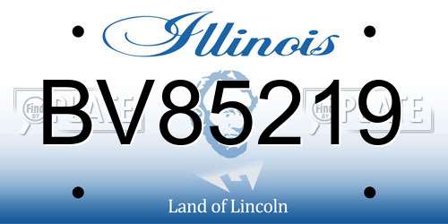 BV85219 Illinois License Plate