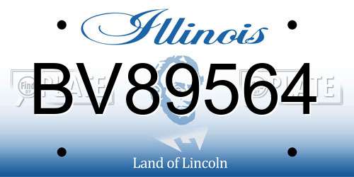 BV89564 Illinois License Plate