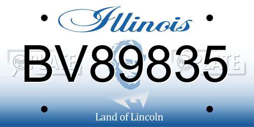 BV89835 Illinois License Plate