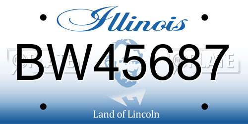 BW45687 Illinois License Plate