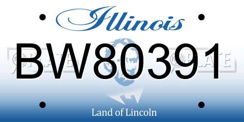 BW80391 Illinois License Plate