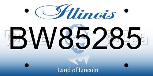 BW85285 Illinois License Plate