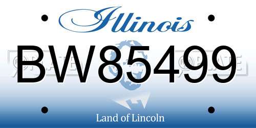 BW85499 Illinois License Plate