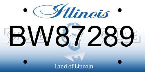 BW87289 Illinois License Plate