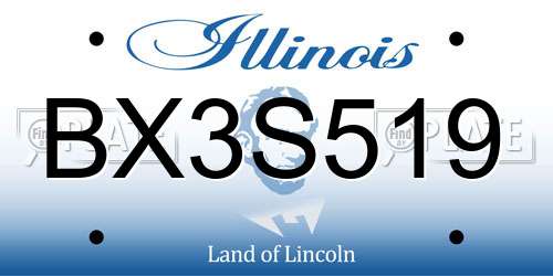 BX3S519 Illinois License Plate