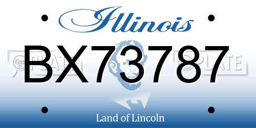 BX73787 Illinois License Plate