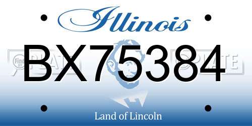 BX75384 Illinois License Plate