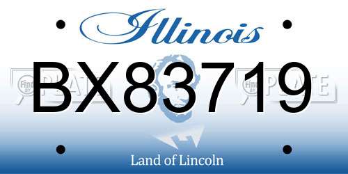 BX83719 Illinois License Plate