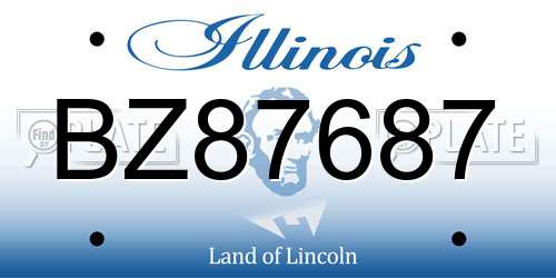 BZ87687 Illinois License Plate