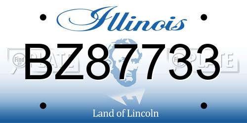 BZ87733 Illinois License Plate