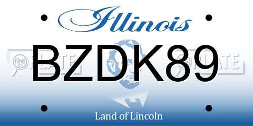 BZDK89 Illinois License Plate
