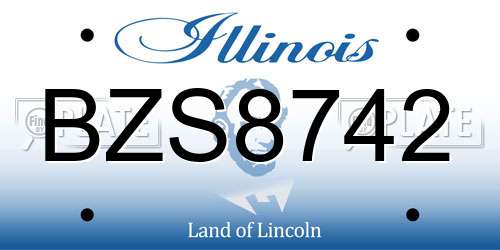 BZS8742 Illinois License Plate