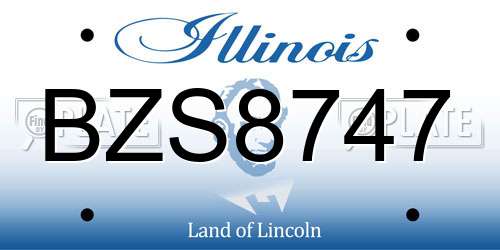 BZS8747 Illinois License Plate