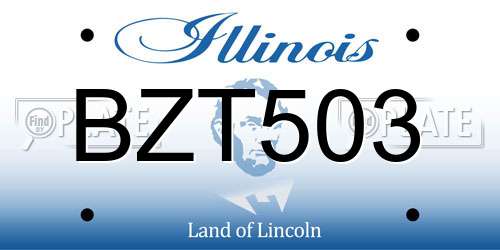 BZT503 Illinois License Plate