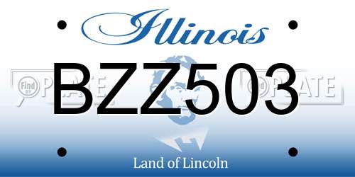 BZZ503 Illinois License Plate