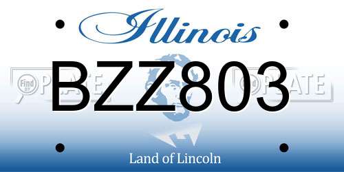 BZZ803 Illinois License Plate