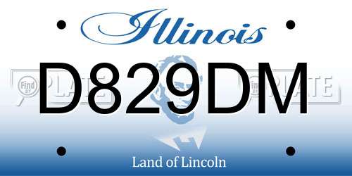 D829DM Illinois License Plate