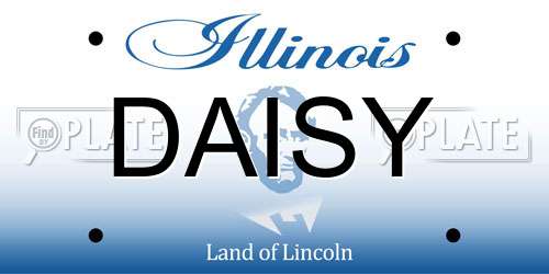 DAISY Illinois License Plate