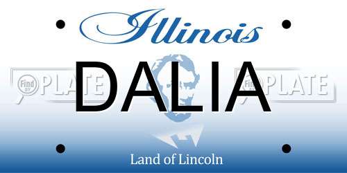 DALIA Illinois License Plate