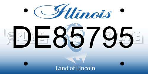 DE85795 Illinois License Plate