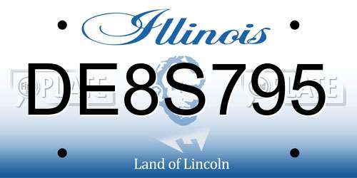 DE8S795 Illinois License Plate