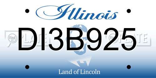 DI3B925 Illinois License Plate