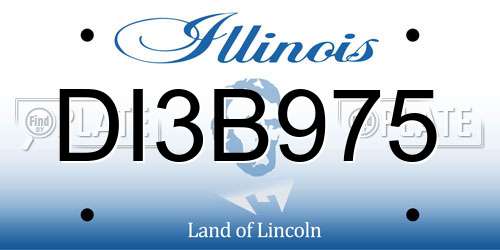 DI3B975 Illinois License Plate