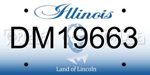 DM19663 Illinois License Plate