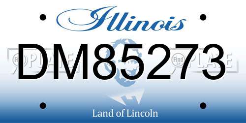 DM85273 Illinois License Plate