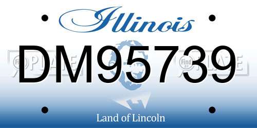 DM95739 Illinois License Plate