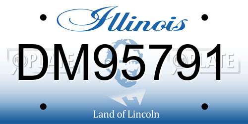 DM95791 Illinois License Plate