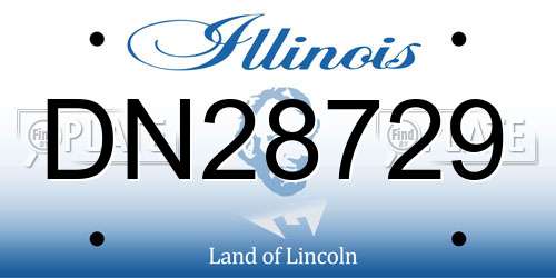 DN28729 Illinois License Plate