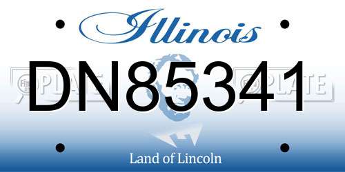 DN85341 Illinois License Plate