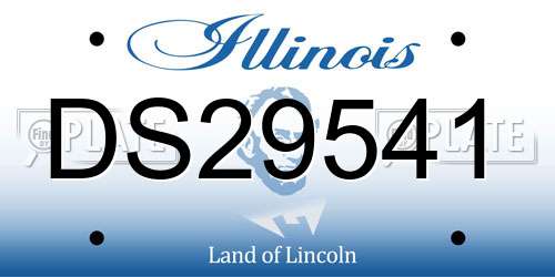 DS29541 Illinois License Plate