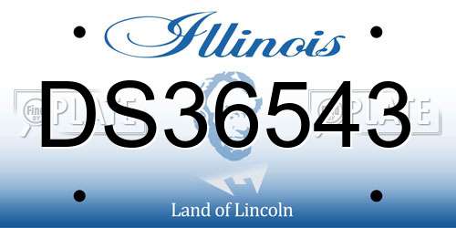 DS36543 Illinois License Plate