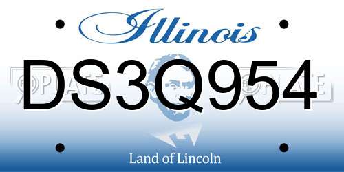 DS3Q954 Illinois License Plate