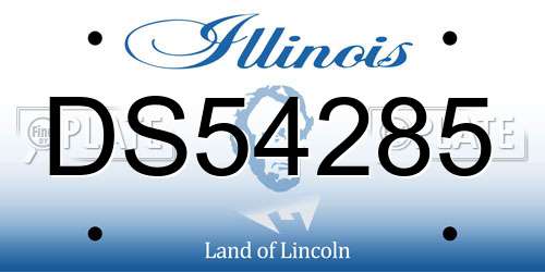 DS54285 Illinois License Plate