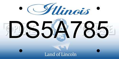 DS5A785 Illinois License Plate
