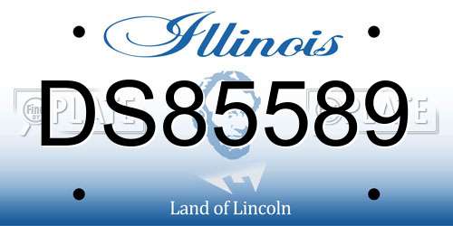 DS85589 Illinois License Plate