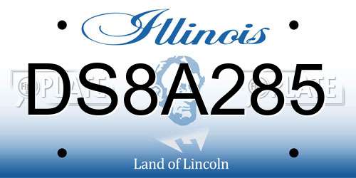 DS8A285 Illinois License Plate
