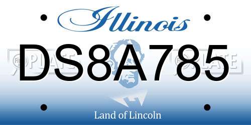 DS8A785 Illinois License Plate