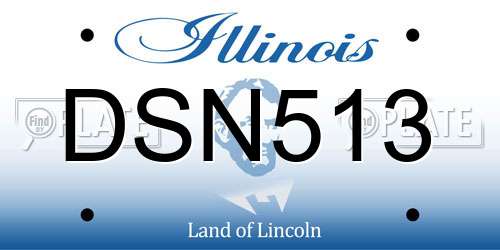 DSN513 Illinois License Plate