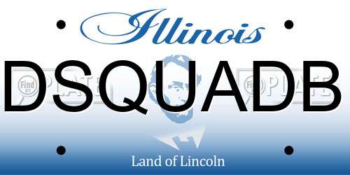DSQUADB Illinois License Plate