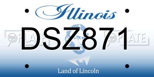 DSZ871 Illinois License Plate