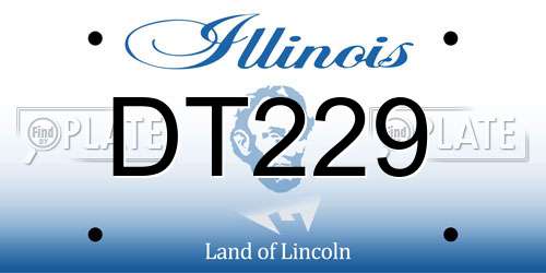 DT229 Illinois License Plate