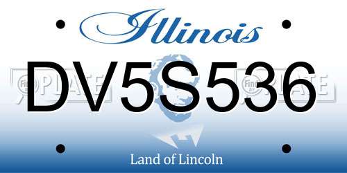 DV5S536 Illinois License Plate