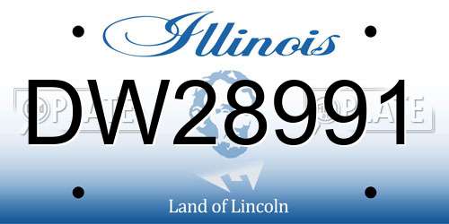 DW28991 Illinois License Plate