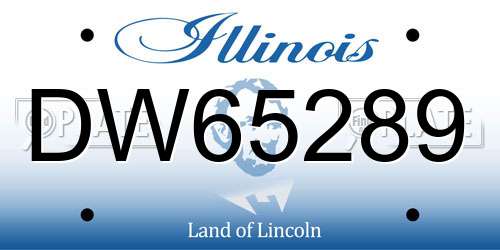 DW65289 Illinois License Plate